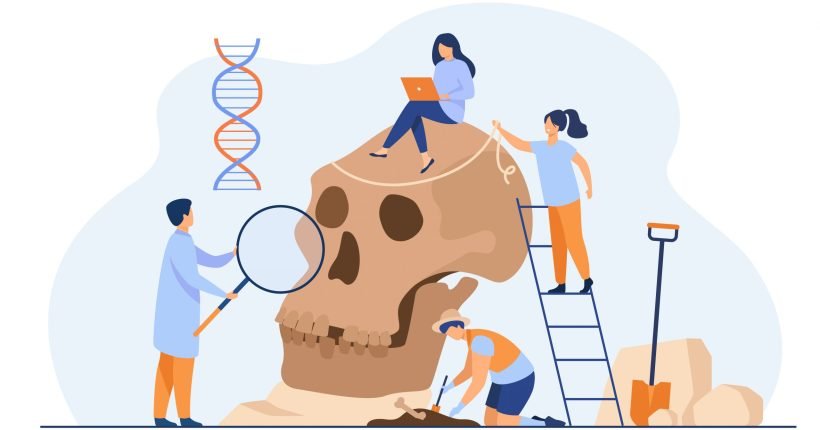 Tiny anthropologists studying Neanderthal skull flat vector illustration. Cartoon people doing DNA and Paleolithic research. Anthropology and prehistoric museum concept